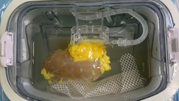 68f10779e9ff716ee064fa97