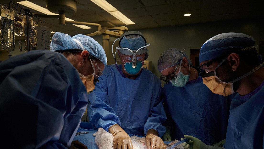 61bb02efe9ff71793c68cda7