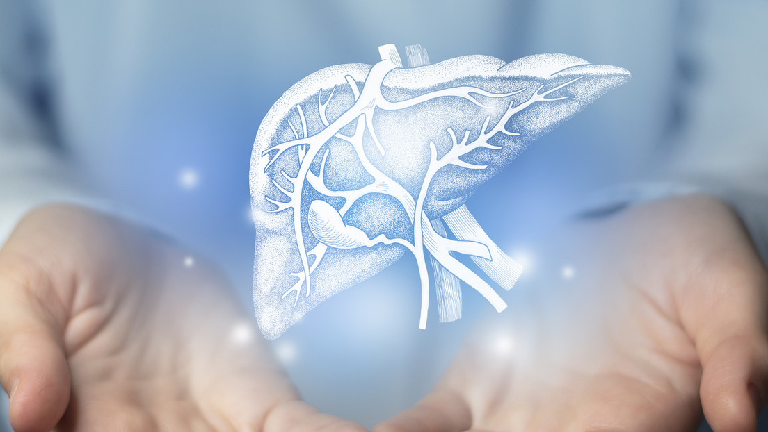 6894bcd3e9ff713b0f5a6df3